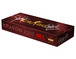 Сувенирный набор PGL Krakow 2017 Cache