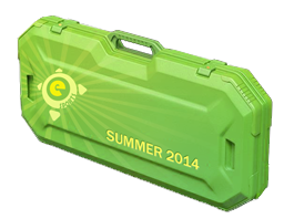 Летний кейс eSports 2014