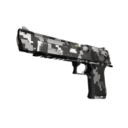 Souvenir Desert Eagle | Urban DDPAT (Field-Tested)