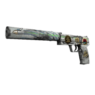 Souvenir USP-S | Road Rash (Well-Worn)