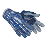 ★ Sport Gloves | Amphibious (Battle-Scarred)