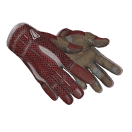 ★ Sport Gloves | Slingshot (Field-Tested)