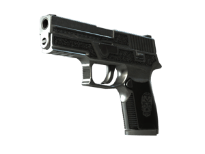 StatTrak™ P250 | Cartel (Field-Tested)