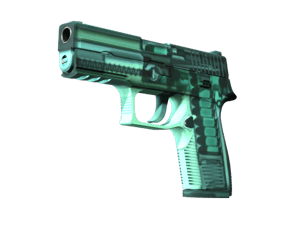 StatTrak™ P250 | X-Ray (Minimal Wear)