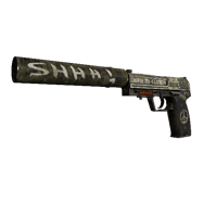 StatTrak™ USP-S | Flashback (Field-Tested)