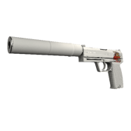 USP-S | Whiteout (Well-Worn)